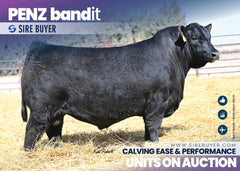 Penz Bandit 2524 - 30 units
