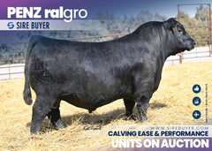 Penz Ralgro 2477 - 25 units