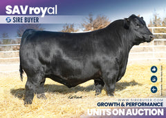 SAV Royal 1861 - 30 units