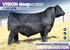 Vision Deep Water 3019 - 25 units