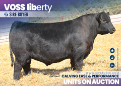 Voss Liberty 4057 - 25 units