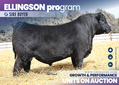 Ellingson Program - 25 units
