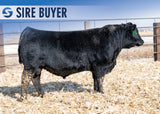 Lot 5: Stock Renown 3011