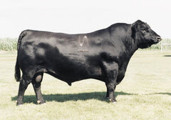 N Bar Emulation EXT – 10 units