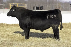 Woodhill Relevance F109 - 2 units