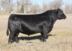 Connealy Confidence Plus – 2 units