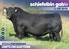 Schiefelbein Gable - 10 units