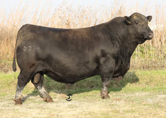 Lot 2: Vermilion Prize 9446 (VAR Conclusion 0234)