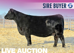 Lot 10: WMS Blackcap May 5136- 3 Embryos