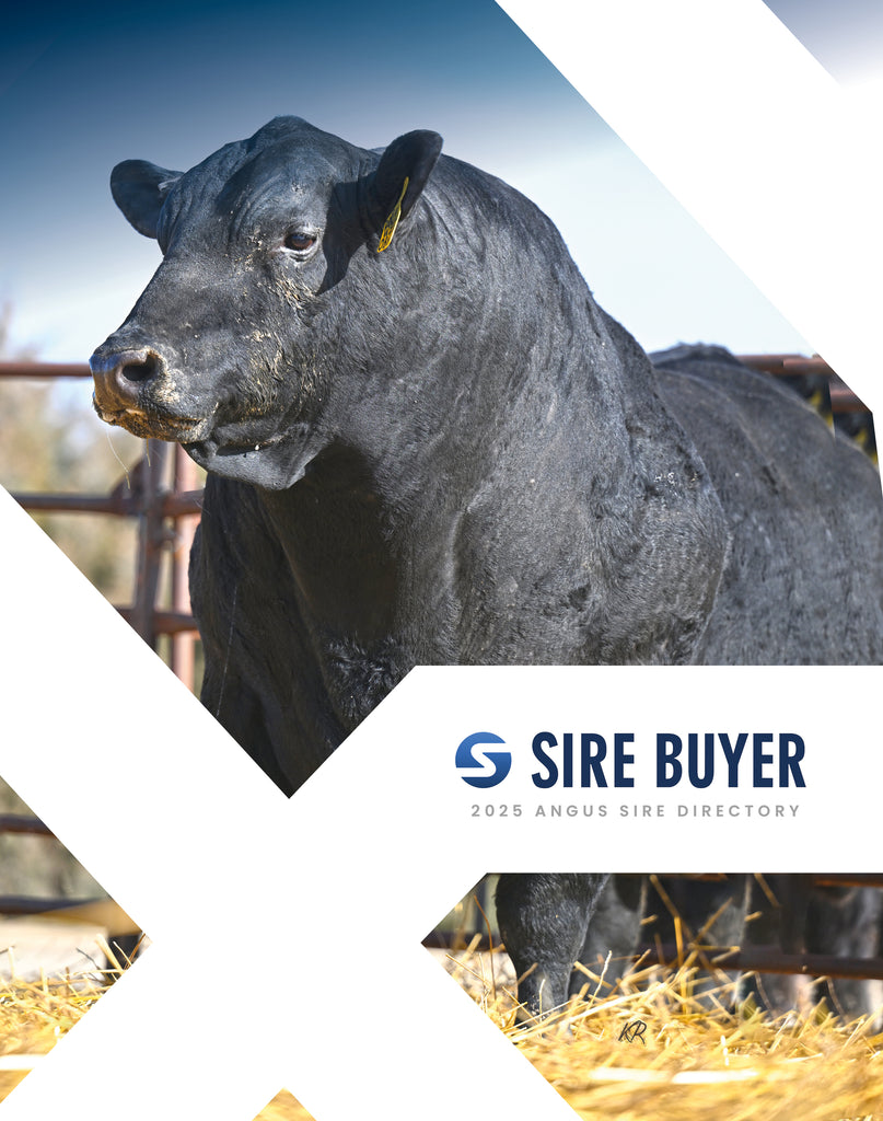 Sire Buyer Auctions