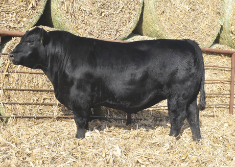 Lot 3: J5 Architect 412