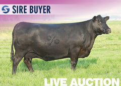 Lot 8: Coleman Donna 5222 - 3 Sexed (F) Embryos