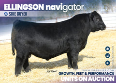 Ellingson Navigator 2058 - 30 units