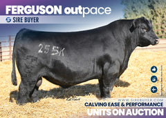 Ferguson Outpace - 30 units