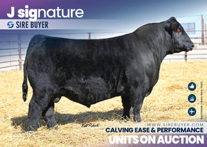 J Signature 3022 - 25 units