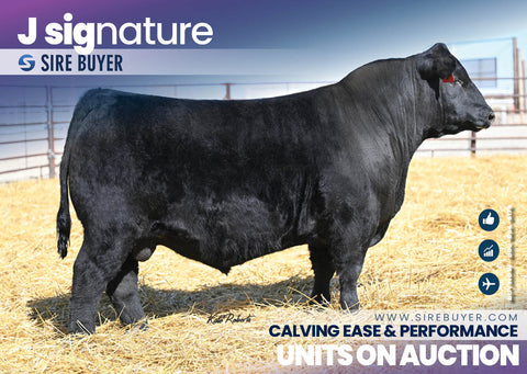 J Signature 3022 - 25 units