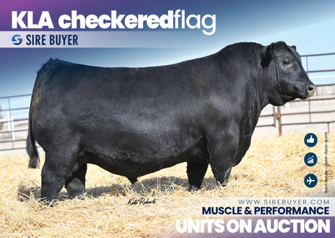 KLA Checkered Flag 213 - 25 units