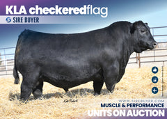 KLA Checkered Flag 213 - 25 units