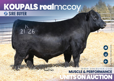 Koupals B&B Real McCoy - 25 units