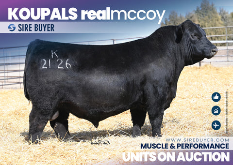 Koupals B&B Real McCoy - 25 units