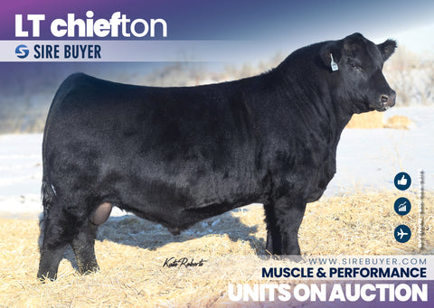 LT Chiefton 1440 - 50 units