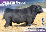 Lylester Fireball - 25 units