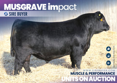 Musgrave Impact - 30 units