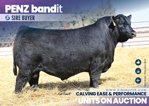 Penz Bandit 2524 - 30 units