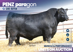 Penz Paragon - 45 units