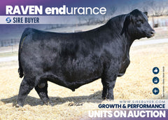 Raven Endurance L86 - 30 units