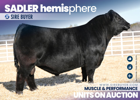 Sadler Hemisphere - 30 units