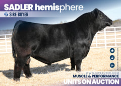 Sadler Hemisphere - 30 units