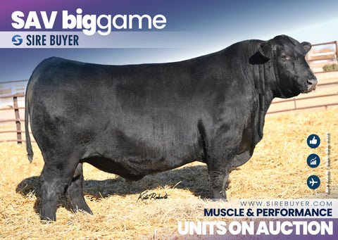 SAV Big Game 2549 - 30 units