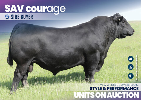 SAV Courage 3003 - 100 units