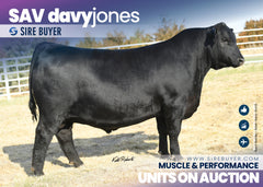 SAV Davy Jones 1892 - 30 units