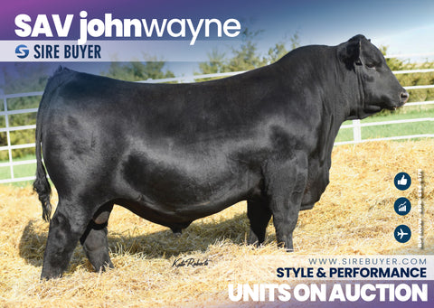 SAV John Wayne 0862 – 2 units