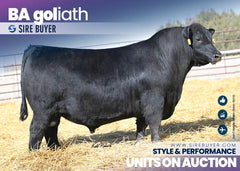 BA Goliath 248 - 25 units