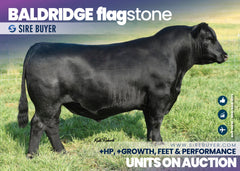 Baldridge Flagstone - 30 units