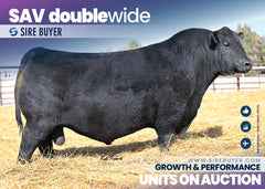 SAV Double Wide 0861 - 25 units
