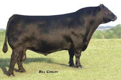 BC Matrix 4132 - 3 certs