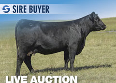 Lot 20: Baldridge Pratissa E159 - 3 Embryos