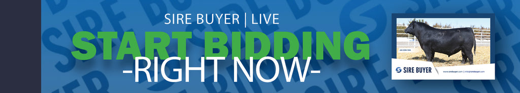 Sire Buyer Auctions