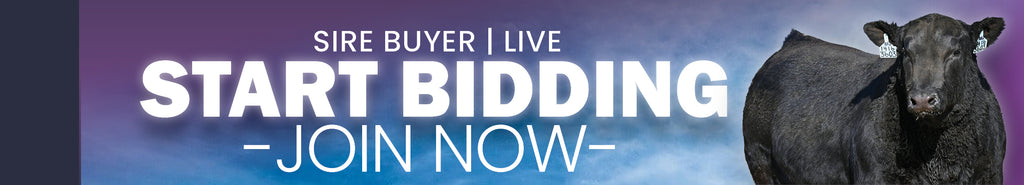 Sire Buyer Auctions