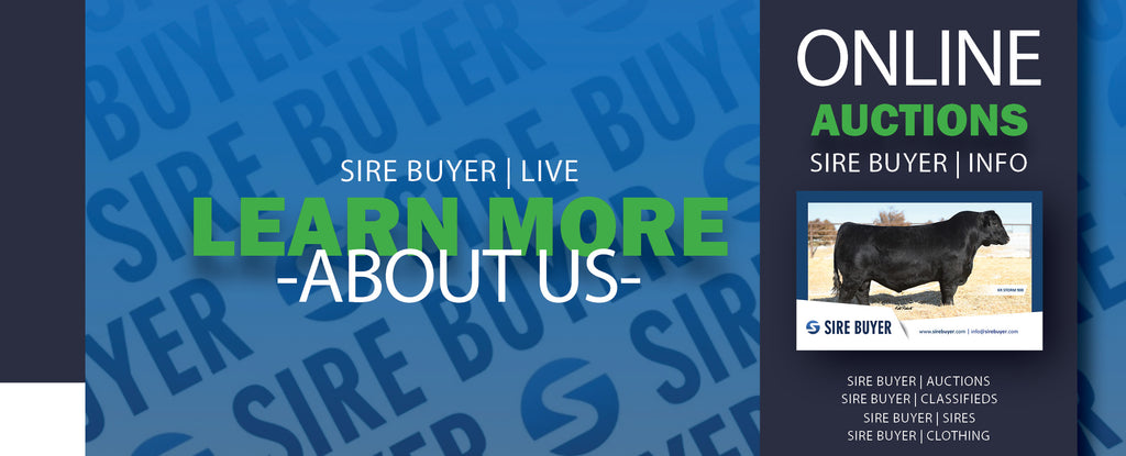 Sire Buyer Auctions