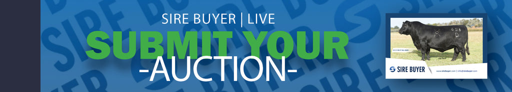 Sire Buyer Auctions