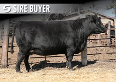 Lot 12: SAV Elba 9132