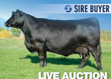 Lot 1: Chloe Juanada 700 (2 Embryos)