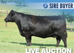 Lot 17: RB Lady Tombstone 426-7503 - (5 Embryos)
