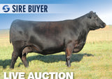 Lot 6: SAV Emblynette 2681 (3 Embryos)