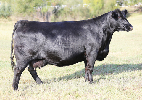 Lot 32: EXAR Forever Lady 2109